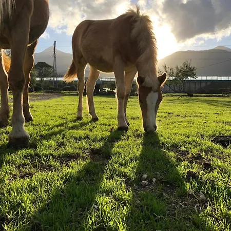 La Tenuta Del Campo Di Sopra مزرعة للإقامة