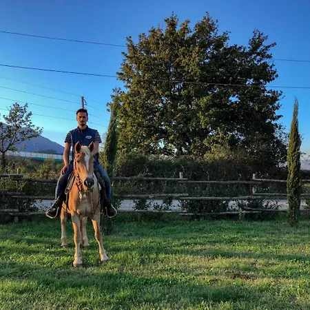 La Tenuta Del Campo Di Sopra مزرعة للإقامة Patrica